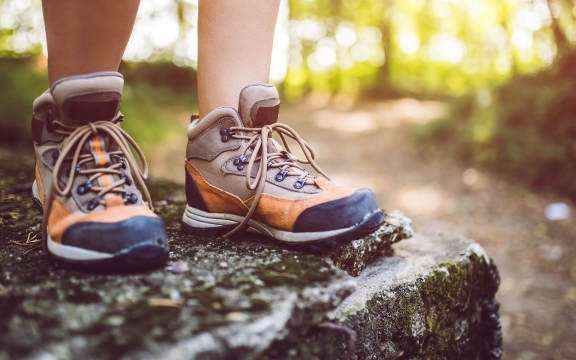 Canyon Preserve Hike