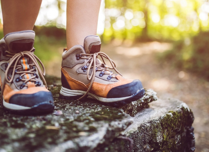 Canyon Preserve Hike