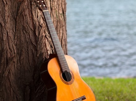 Strum | Yin Yoga with Live Classical Guitar With Guest Musician Tony Morris