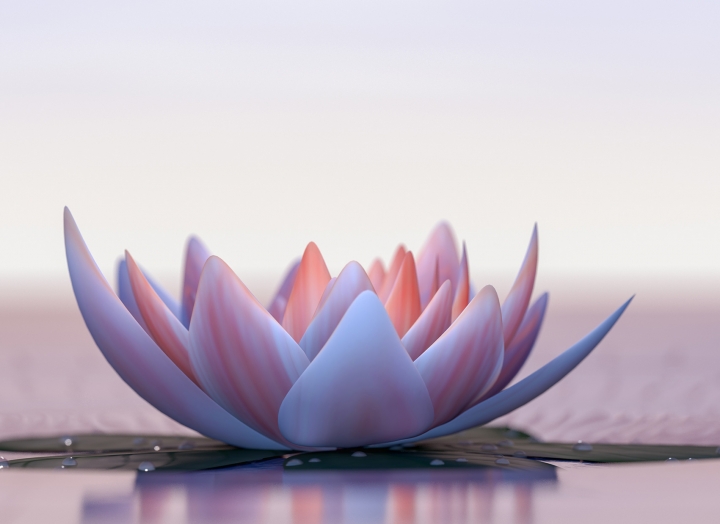 Meditative Arts | Creating Mandalas for the Inner Journey | Special Guest Artist Renate Hume Limit 4