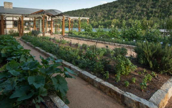 Culinary Experience Week | Garden To Table | Tour and Demo