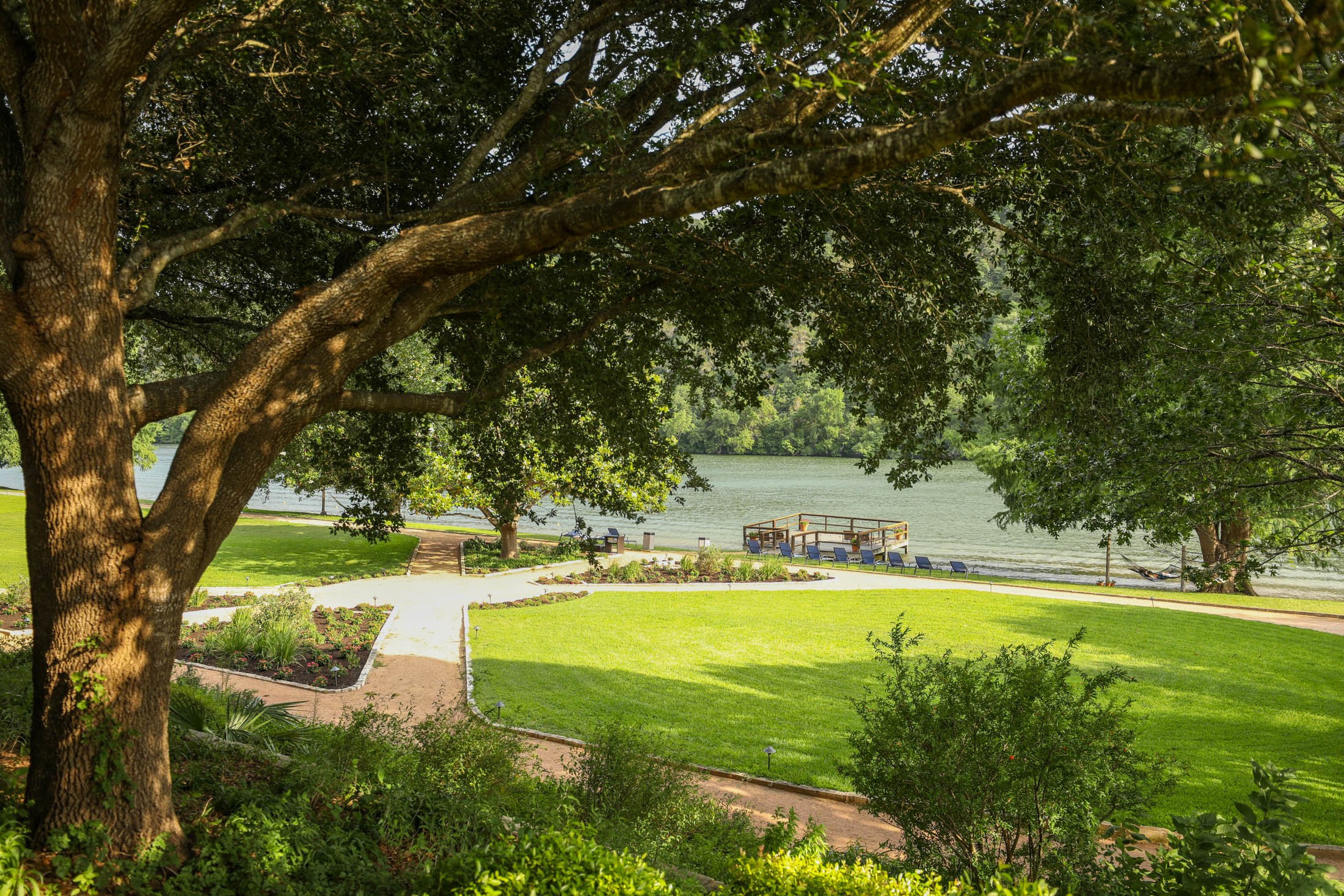View of the lake with a tree in front