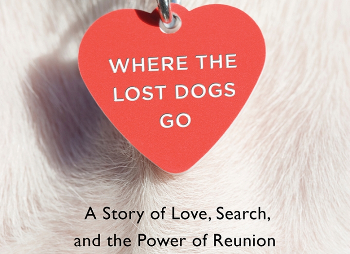 Paws by the Lake | Dogs and the Lake Were Made for Each Other! 1