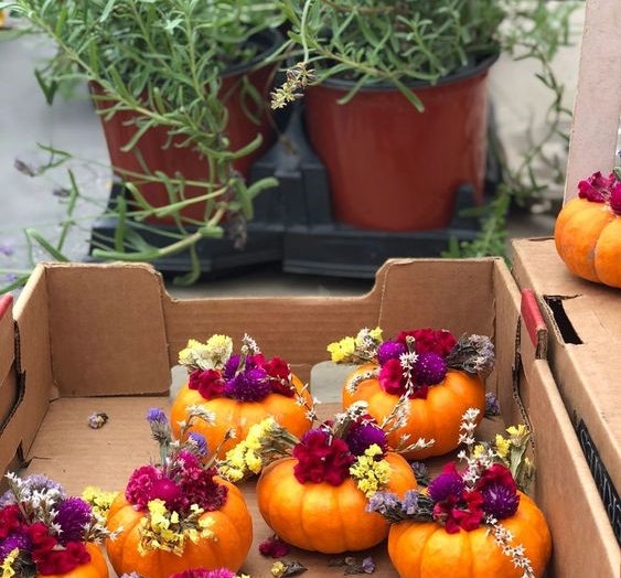 *Creative Arts | Pumpkin Centerpieces | Molly Pikarsky