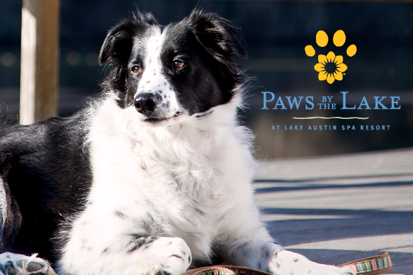 Paws by the Lake Package