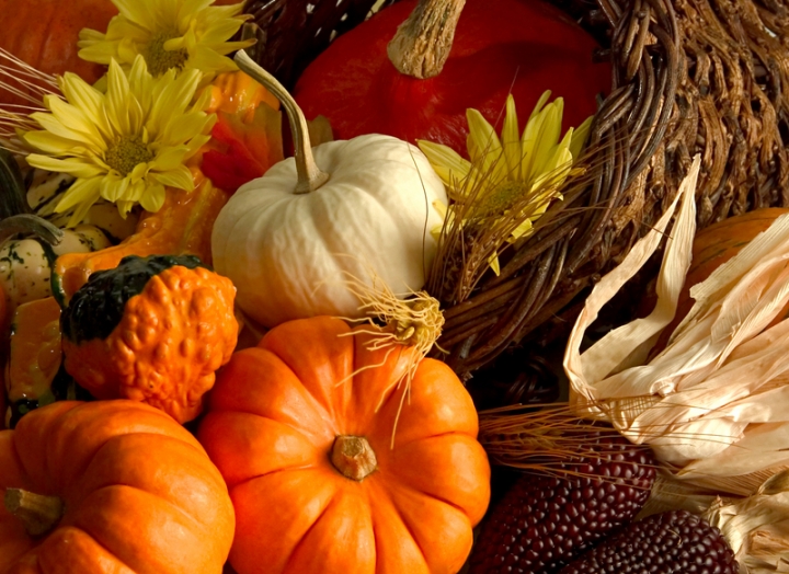 A collection of pumpkins, squash, corn and other fall vegetables