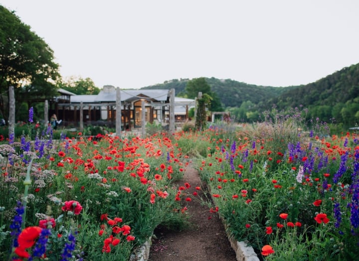 Lake Austin Spa Resort Gardens