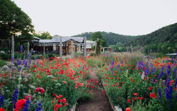 Gardens of Lake Austin