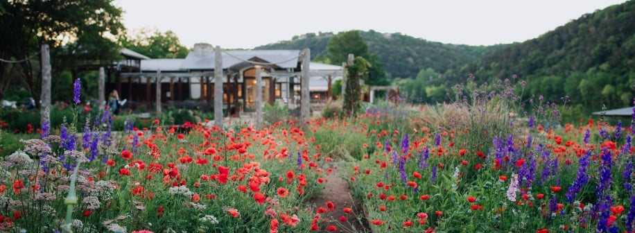 Gardens of Lake Austin