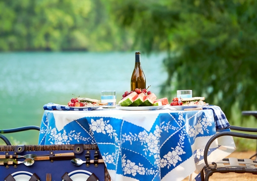 Picnic beside Lake Austin