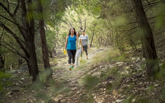 two women hiking in forest