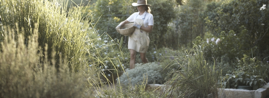 Woman with basket in garden