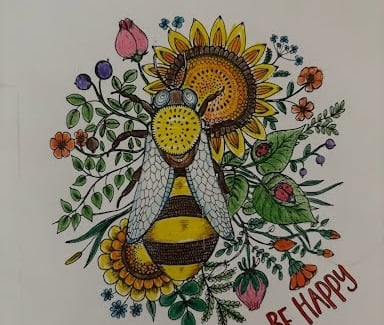 Harmony & Hue Meditative Intentionally Coloring