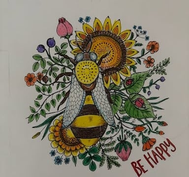 Harmony & Hue Meditative Intentionally Coloring