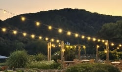 The garden in the evening with light bulbs