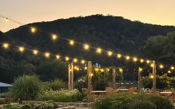The garden in the evening with light bulbs