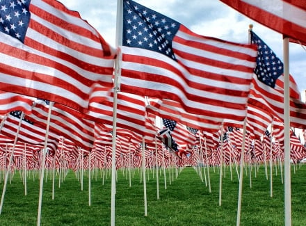 field of flags