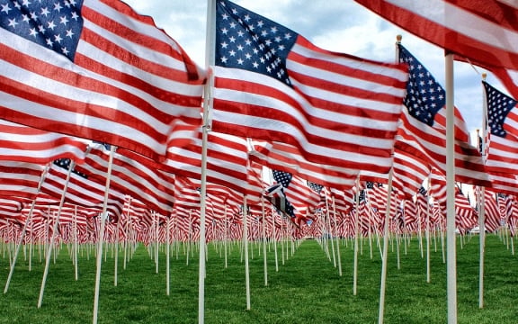 field of flags