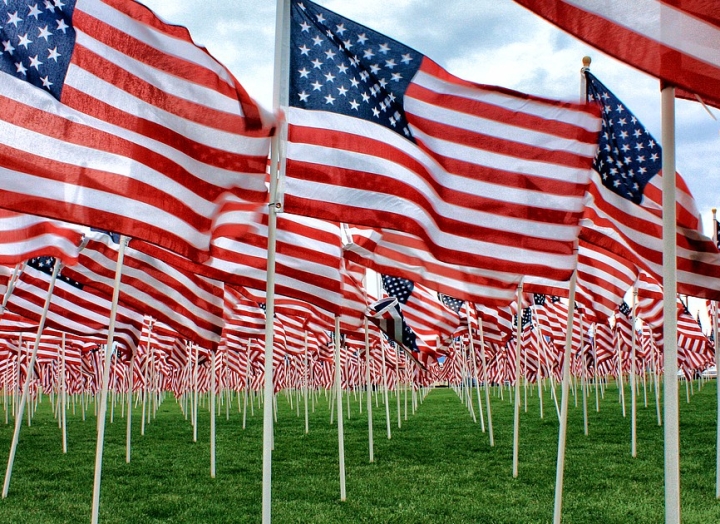 field of flags